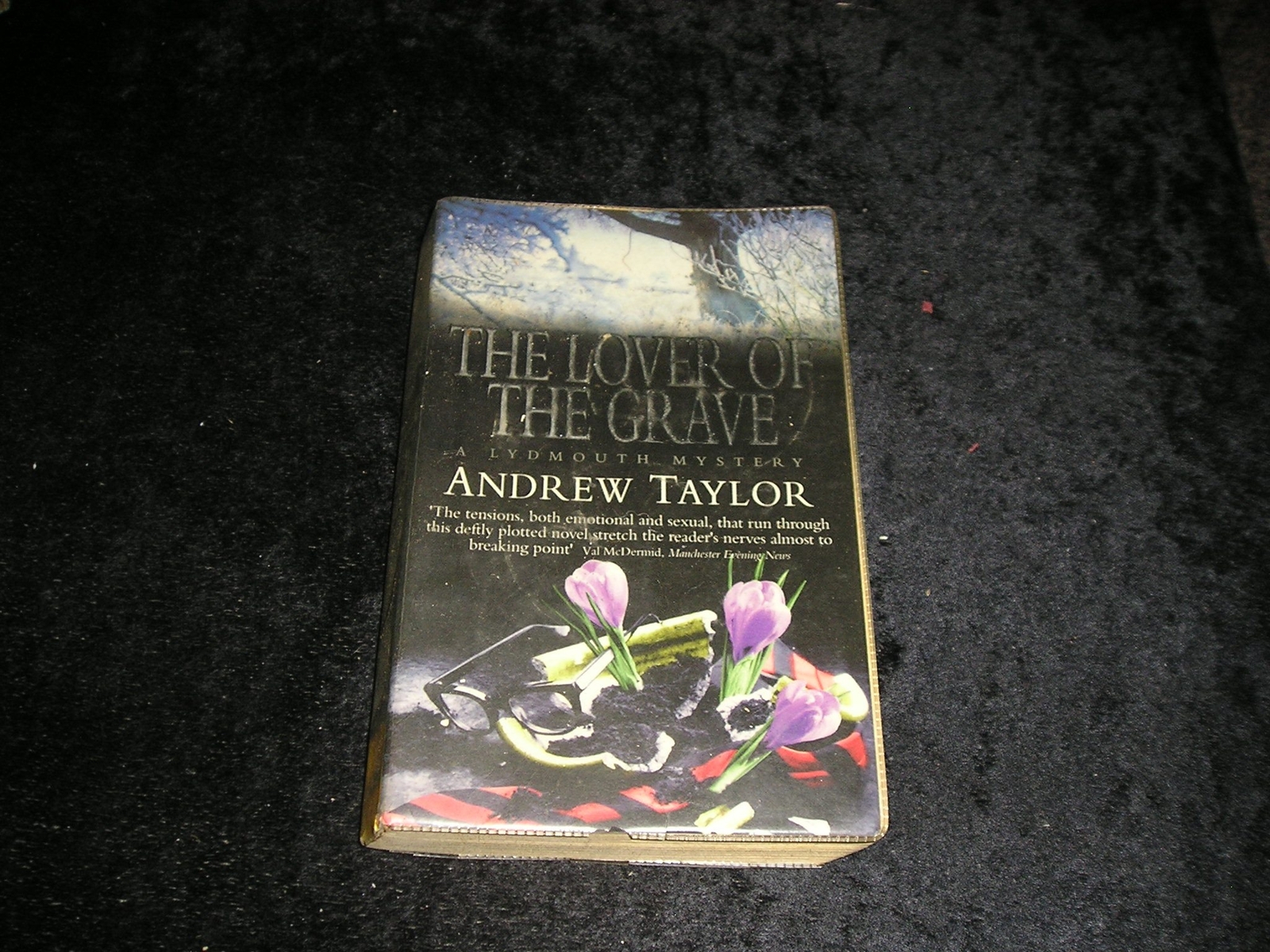 The Lover of the Grave by Andrew Taylor