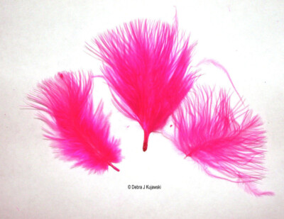 Marabou Feathers Fluffy 7 grams 1-3''  29 colors available Approx 105 per bag