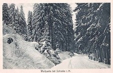 AK Schierke, Waldpartie bei Schierke, gelaufen 1921