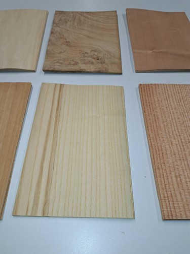 Wood Veneer Sample Pack - 10 PIECES 220mm x 150mm - for marquetry - Pack 236 - Picture 9 of 12
