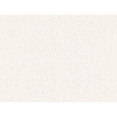 A.S.Creation Vliestapete Glatte Wand Beige FSC 