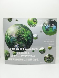 Takashi Amano Nature Aquarium | eBay