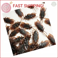 HOMUS 200PCS Prank Fake Roaches - Realistic Faux Cockroaches for Halloween, Pran