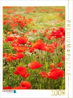 Calvendo Puzzle Traumhafte Mohnblumen | 1000 Teile Lege-GrößE 64X48Cm Foto-Puzzl