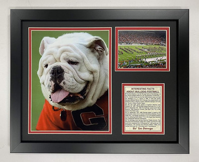 UGA the Bulldog- Georgia Bulldogs Football Mascot Collectible | Framed Photo Col