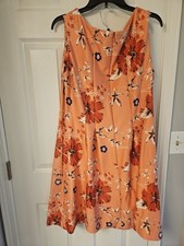 Roz & Ali Women's Sleeveless Floral Scuba Dress 14w