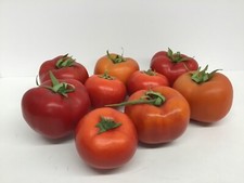 9 Tomatoes Faux Vegetables Kitchen Display Props Decor Pretend Looks Real