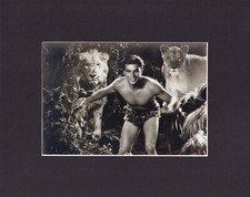 8X10 Matted Print Picture Vintage Male Muscle Shirtless: Buster Crabbe, 1933