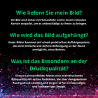 Bild 6 von 7