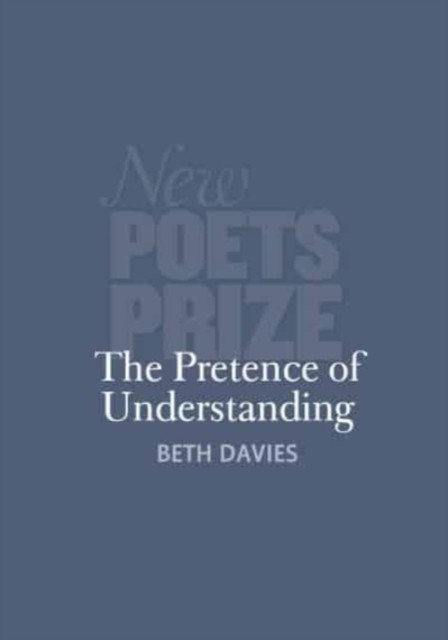 The Pretence of Understanding by Beth Davies PAPERBACK 9781914914515
