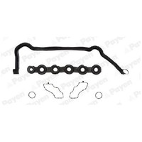Dichtungssatz Zylinderkopfhaube FüR Renault Grand JM0 2.0 05 Bis 08 Payen M9R780