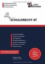 Schuldrecht AT: Wissen - Fälle - Klausurhinweise: Skript... | Buch | Zustand gut