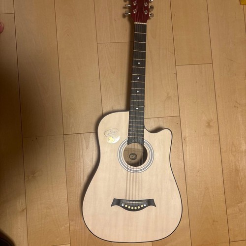 Acoustic Guitar
