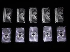 10 Scottsdale mint Vortex 1 oz Silver Fine Bars in air tight cases lot # 1