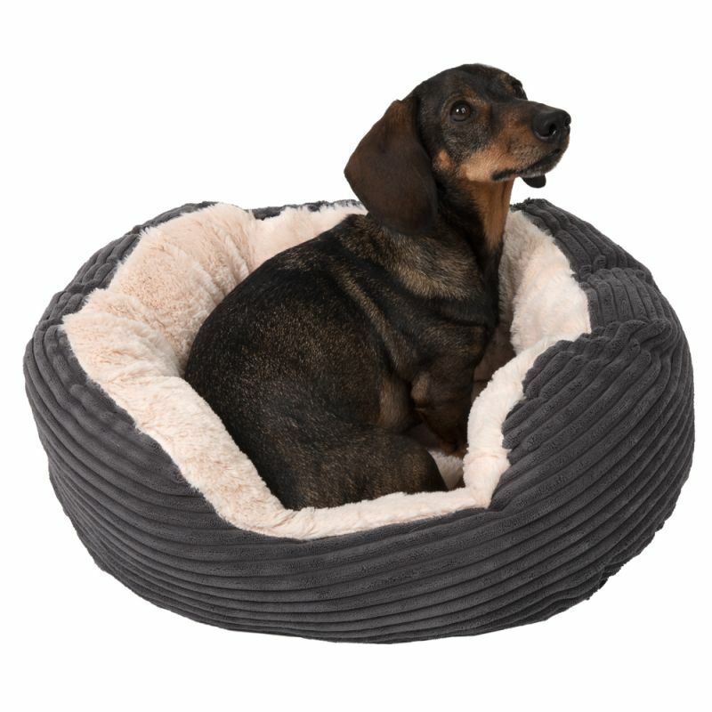 rosewood jumbo cord dog bed