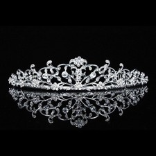 Bridal Floral Crystal Rhinestone Prom Wedding Crown Tiara V654
