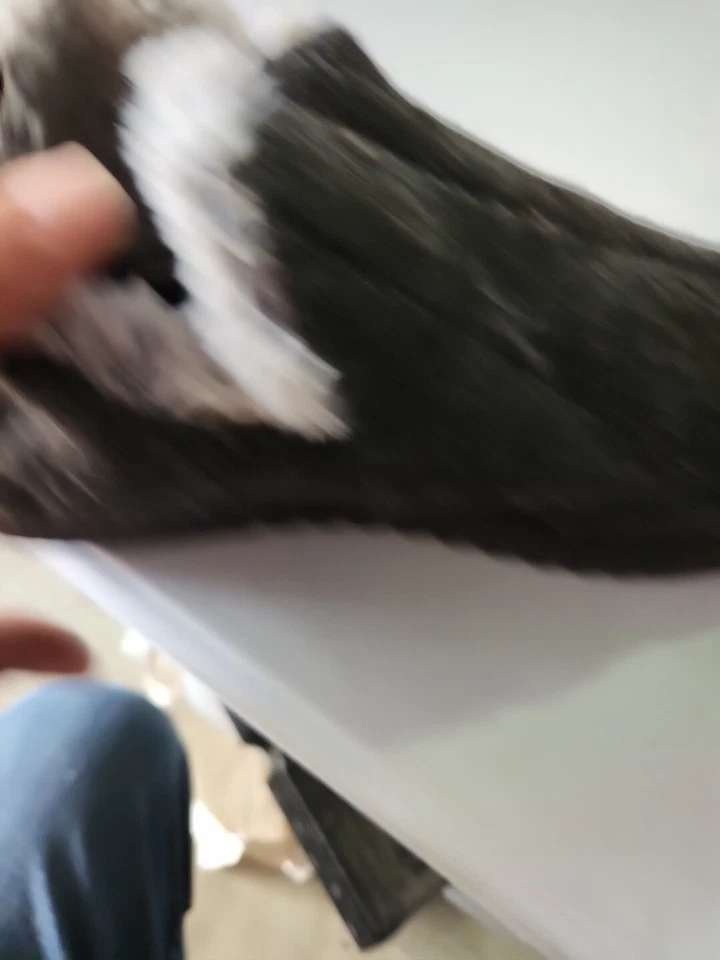 Zapatillas botín para mujer Dluxe by Dearforms gris salón piel sintética talla 9/10 Foto 4 de 4