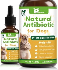 Dogs Antibiotics for Infection Coughs, UTIs, Allergies, Itching - Natural Antibi