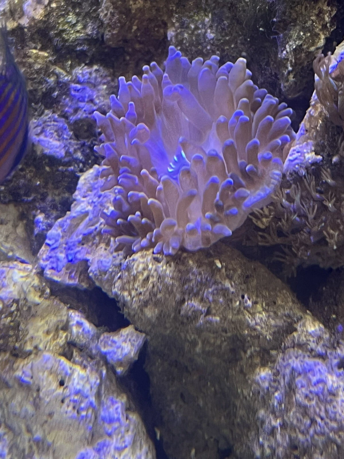 Picture 2 of 5