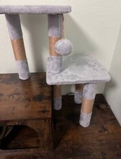 Cat Tree Furniture