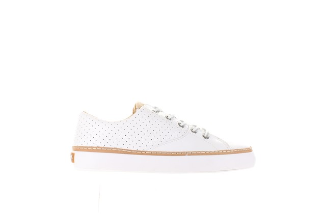 sperry gold cup haven