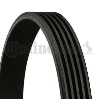 Original CONTINENTAL CTAM Keilrippenriemen 5PK1815 für Alpine BMW Chrysler
