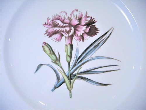 Royal Worcester Hand Painted "Williamson Flower" Bone China Luncheon Plates - Picture 38 of 64