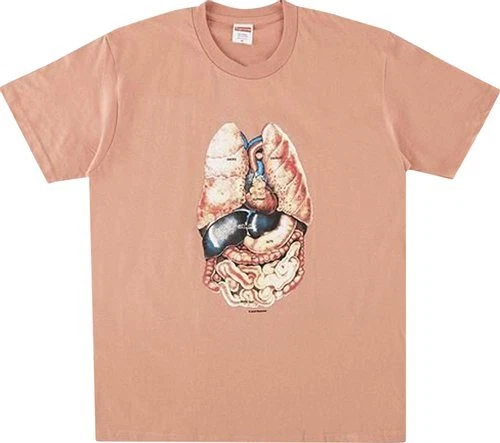 NEW Supreme Guts Tee Terra Cotta T Shirt FW18 2018 Size L Large