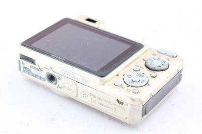 Sony Cyber-shot DSC-W170 10.1MP Digital Camera - Silver (DSC