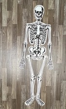 Life Size Foam Human Skeleton Floor Puzzle K+...
