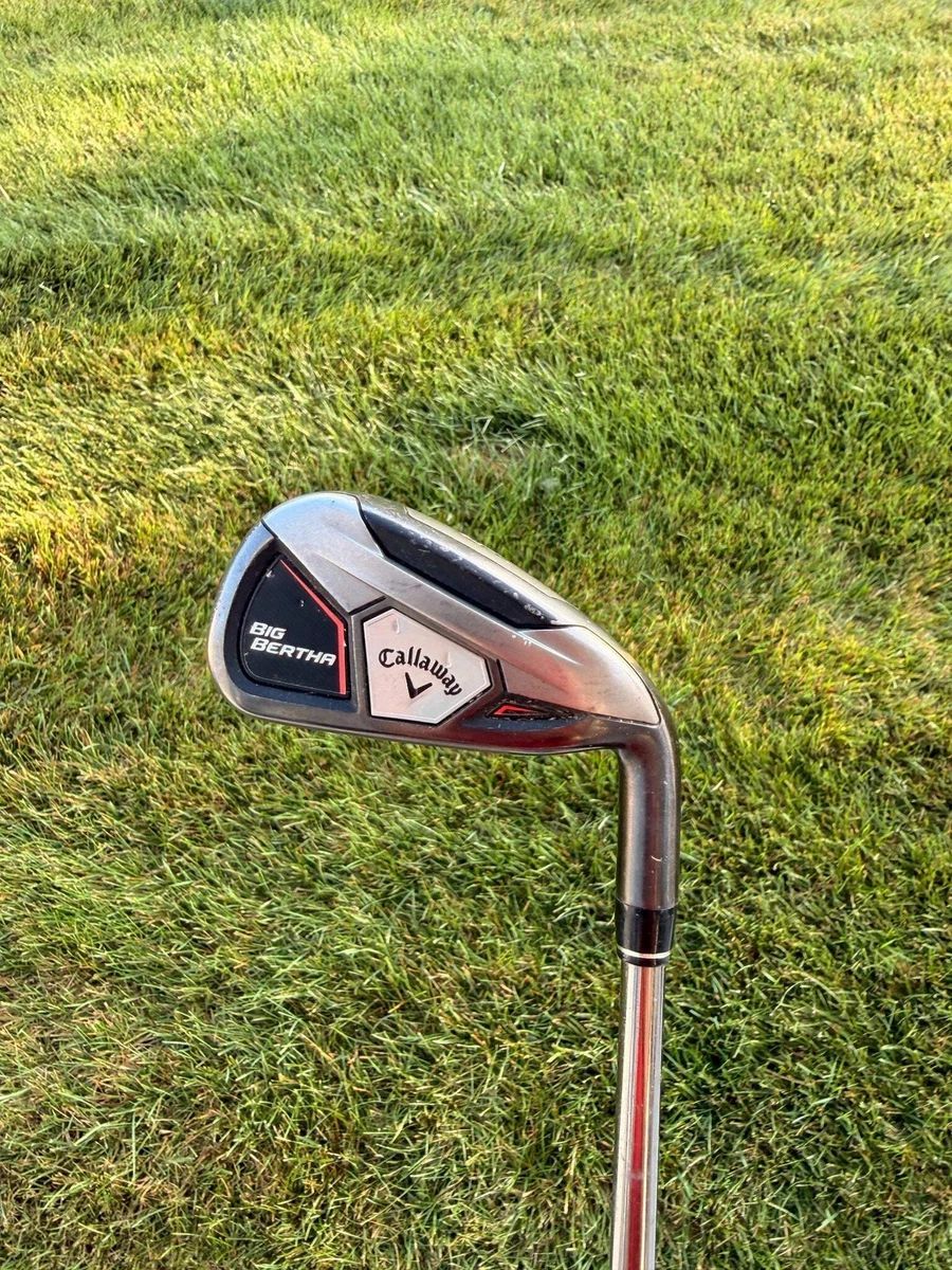 Big Bertha 460 for sale - eBay