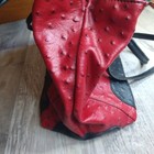 Bild 12 von 12