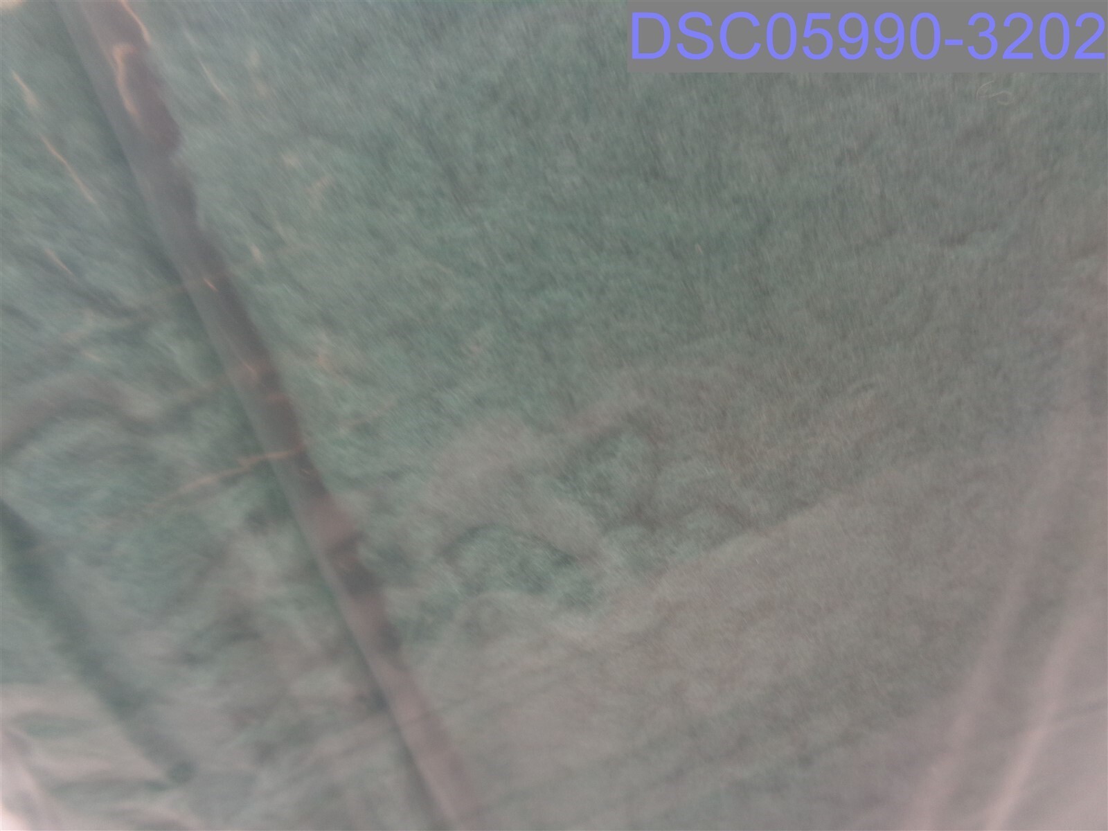 Picture 3 of 3