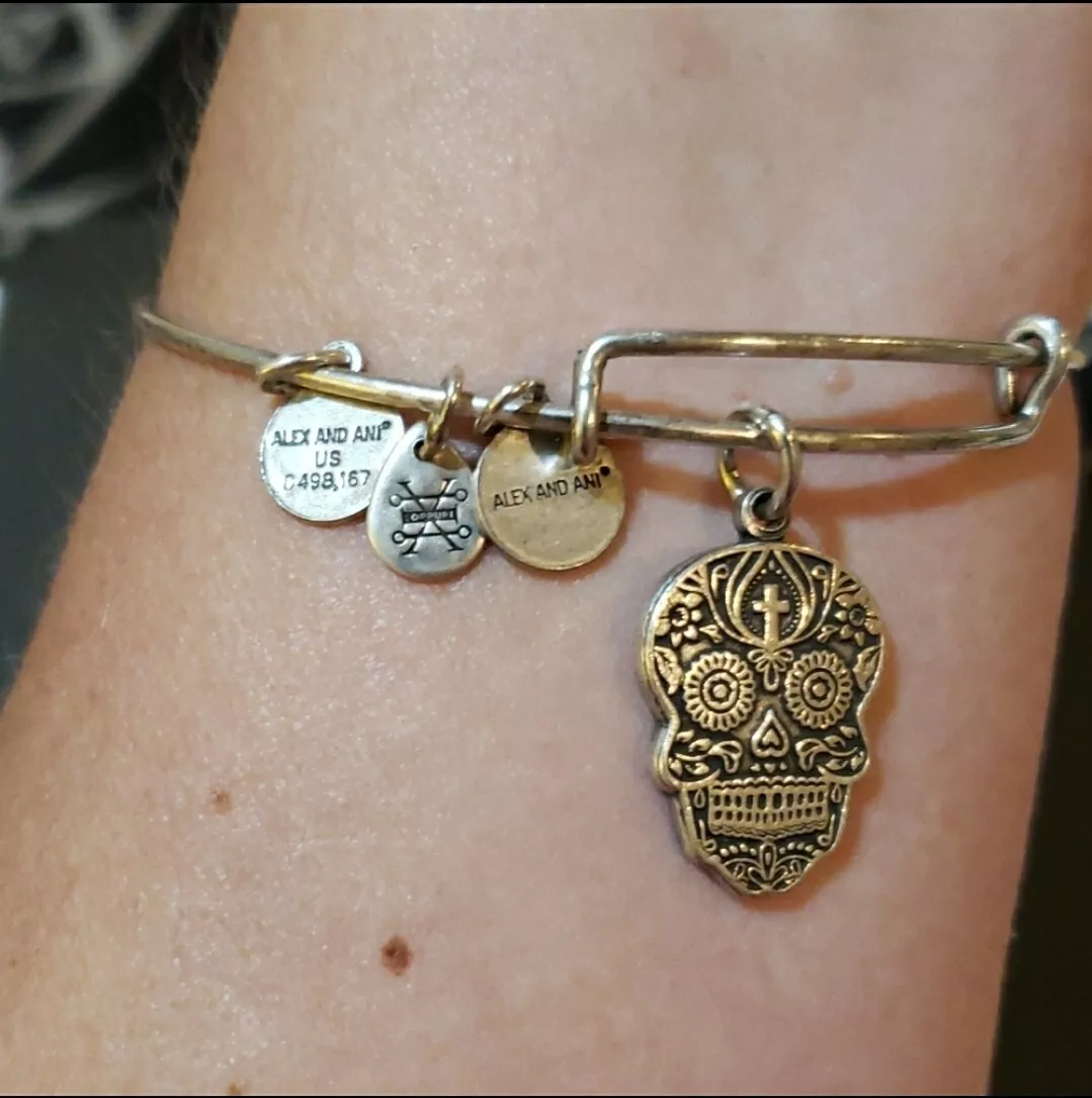 Alex and Ani Calavera Bangle Bracelet Silver eBay