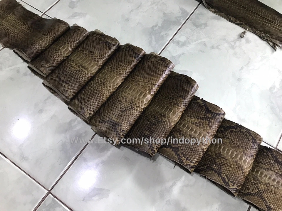 Genuine Python Leather, Exotic Snake Skin, Green SnakeSkin, Green Python Leather - Image 4 of 4