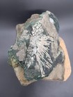 Bild 6 von 10