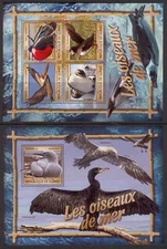 STA833 Guinea 2016 MNH 2 Sheets High CV Fauna Sea Birds
