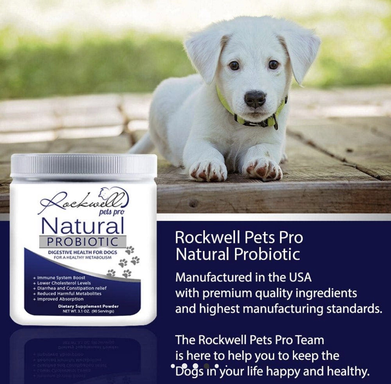 Rockwell Pets Pro Natural Probiotic DIGESTIVE HEALTH FOR DOGS eBay