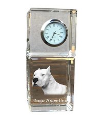 Dogue Argentin - Montre En Cristal Avec Photo, Image De Chien Dans Le Cristal
