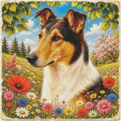 Smooth Collie Welpe Hund im Sommer gezählt Kreuzstich