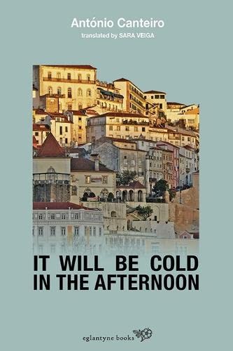 It Will Be Cold In The Afternoon Antonio Canteiro - Image 5