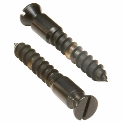 Floyd Rose FRBMWSSBP Original Bridge Mounting Wood Screws, Black, Set of 2