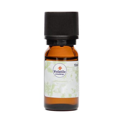 Teebaum - Tea Tree 10 ml