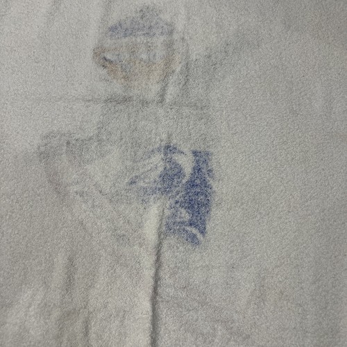 Vintage Ralph Lauren Polo Sport Towel Snowboarding Bear USA American Flag - Picture 5 of 5