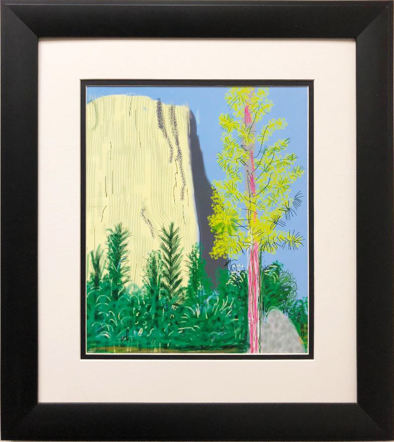 David Hockney 