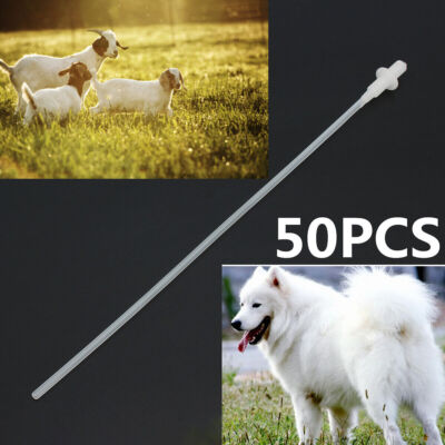 50 Stück Canine Dog Sheep Artificial Insemination Breed Whelp Catheter Rod DE