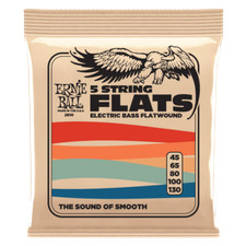 Ernie Ball 5-string Stainless Steel Flatwound Electric Bass Strings 45-130 Gauge