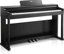 DDP-100 88-Key Weighted Action Digital Piano for Beginner Bundle, Piano Keyboard