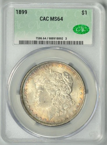 1899  CAC  MS64  *  Philadelphia Mint  * Tough Date Morgan Dollar * #988918892