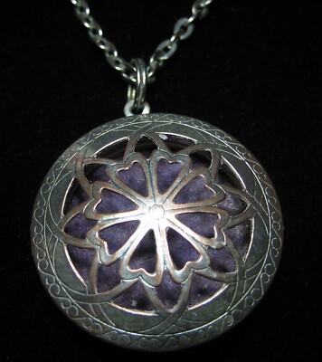 Aromatherapy Essential Oil Diffuser Necklace Locket Pendant 26 inch Chain